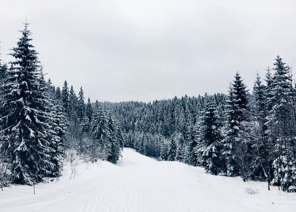 Winter Wonderland poster - cocolapine