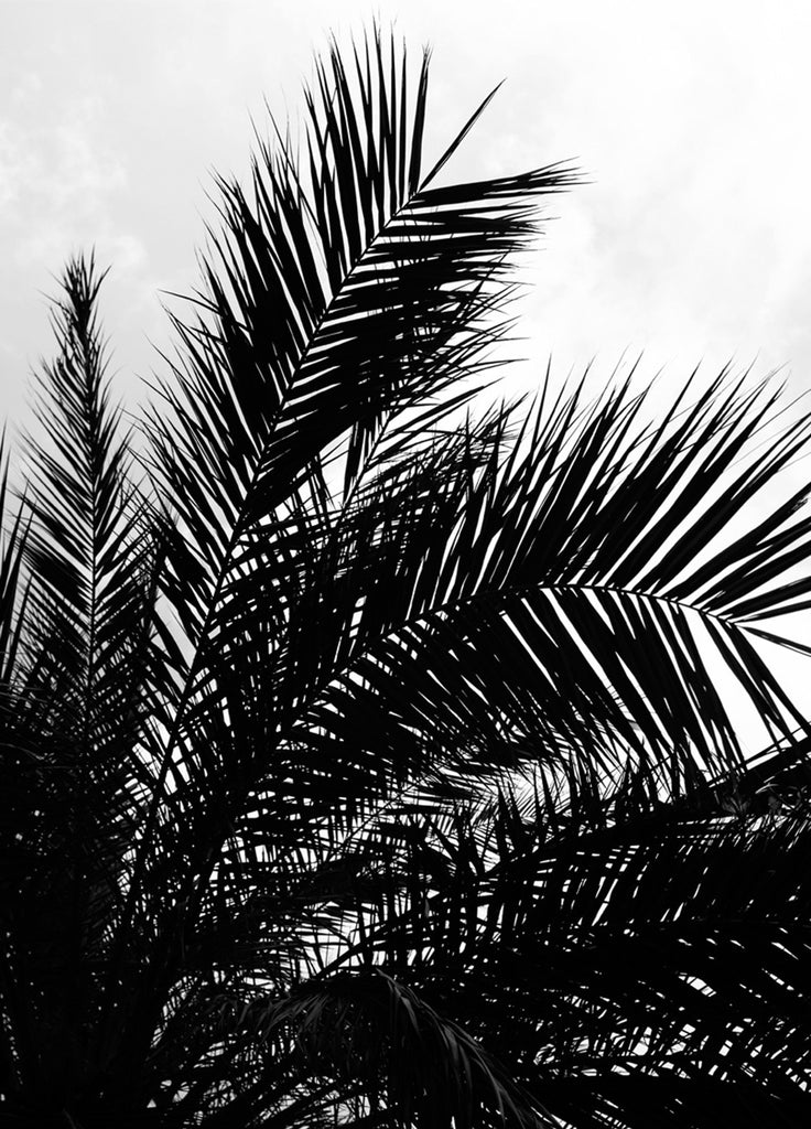 Palm print set poster - cocolapine