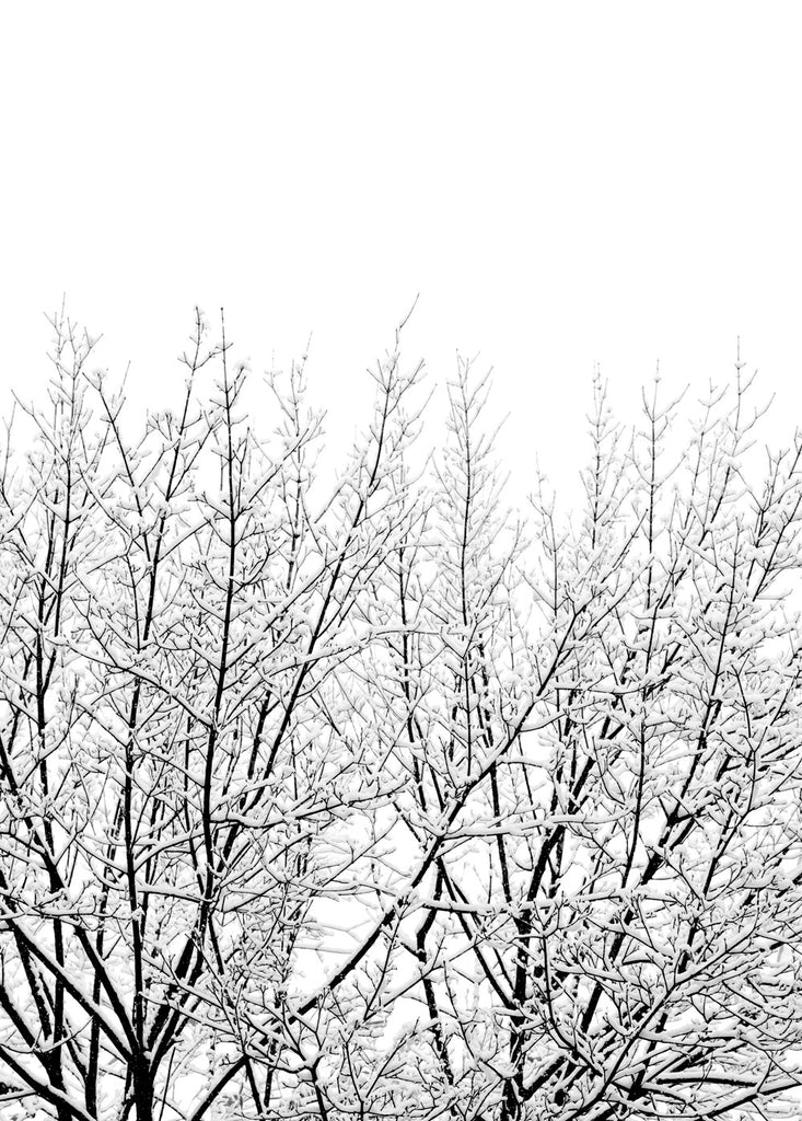 Snowy Tree poster - cocolapine