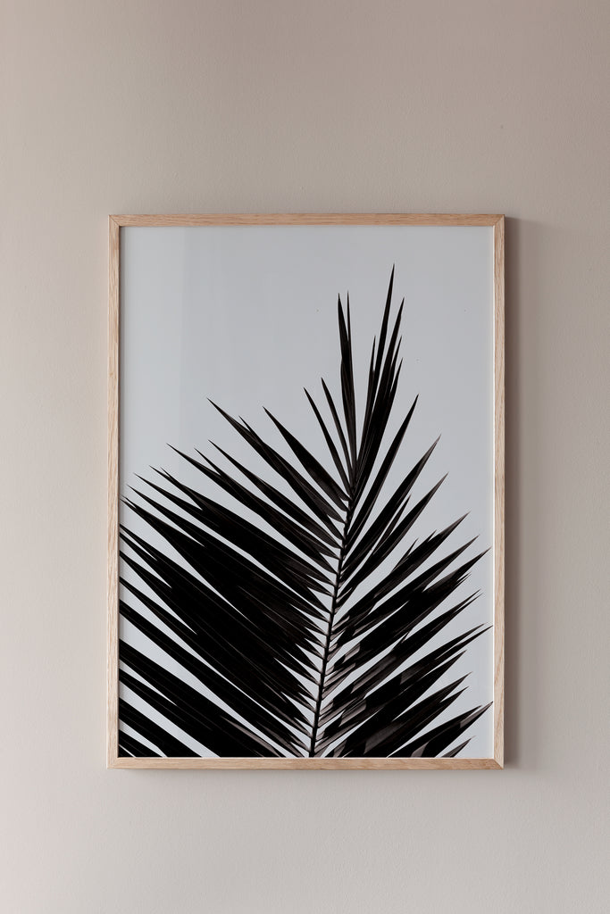 Palm Leaf